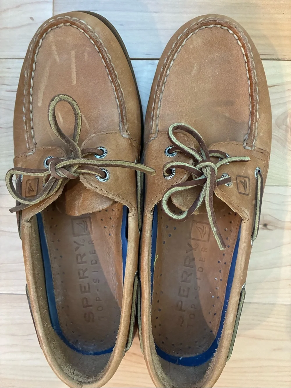 Sperry classic top